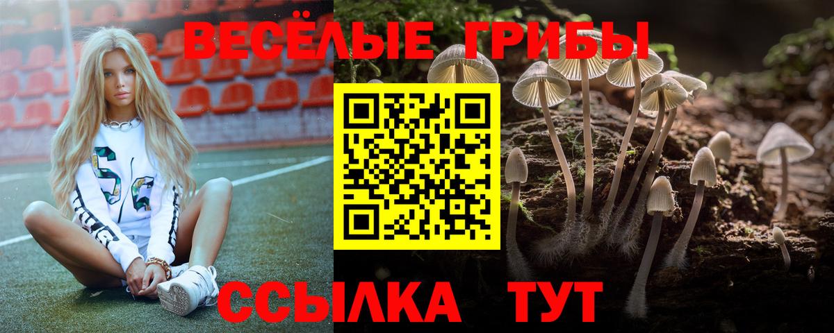 Галлюциногенные грибы мицелий  как найти наркотики  Майский  Вход с VPN  Псилоцибиновые грибы Magic Shrooms 