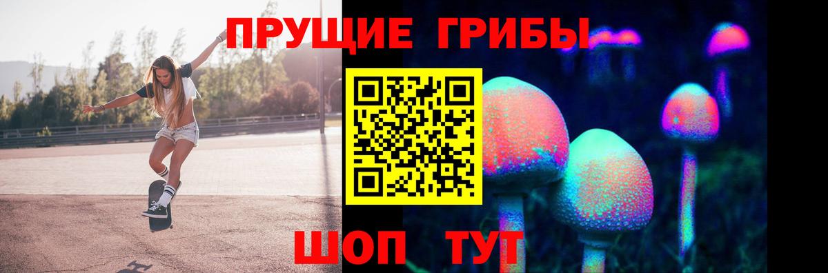 Галлюциногенные грибы GOLDEN TEACHER Майский